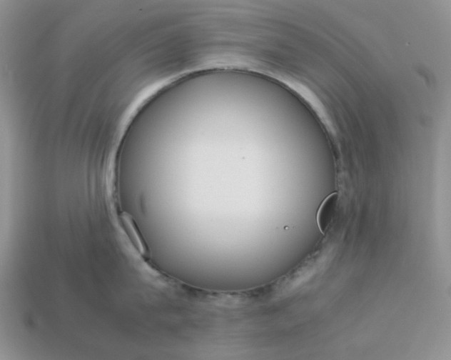 X0000113030815200909101856