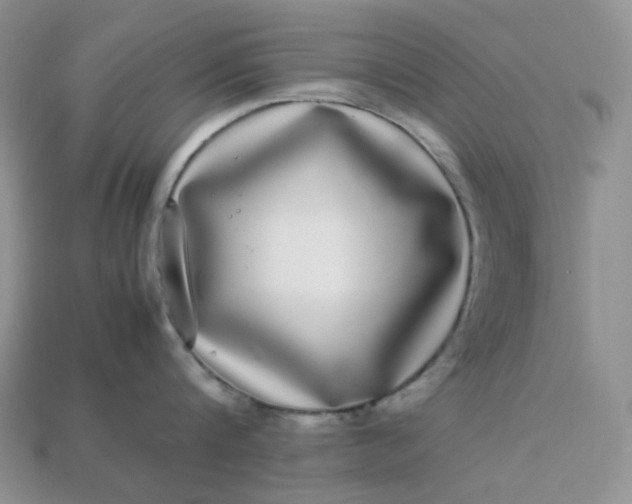 X0000113030816200909101856