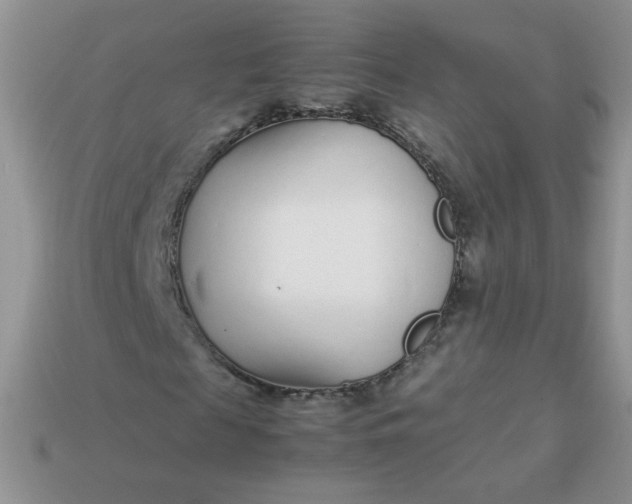 X0000113030817200909101856