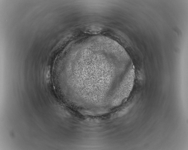 X0000113030818200909101856