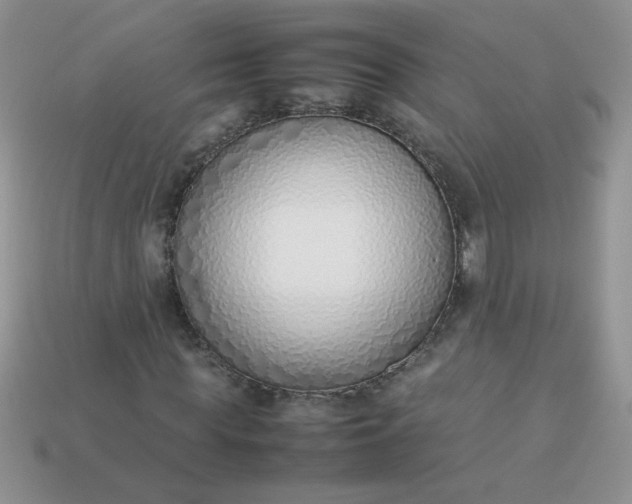 X0000113030819200909101856