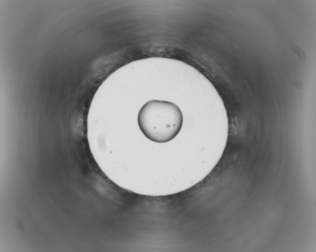 X0000113030820200909101856