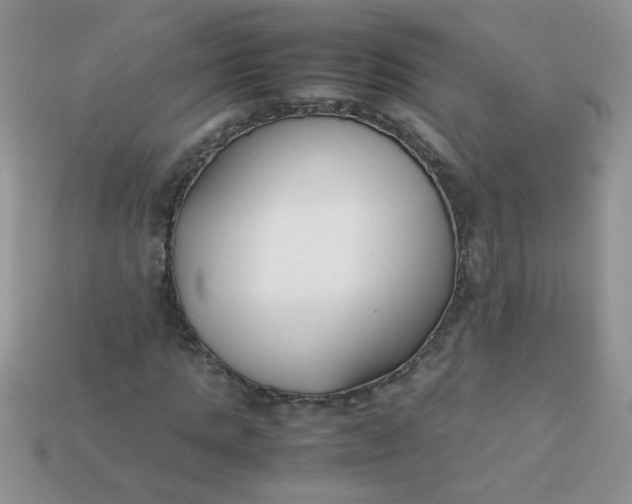 X0000113030821200909101856