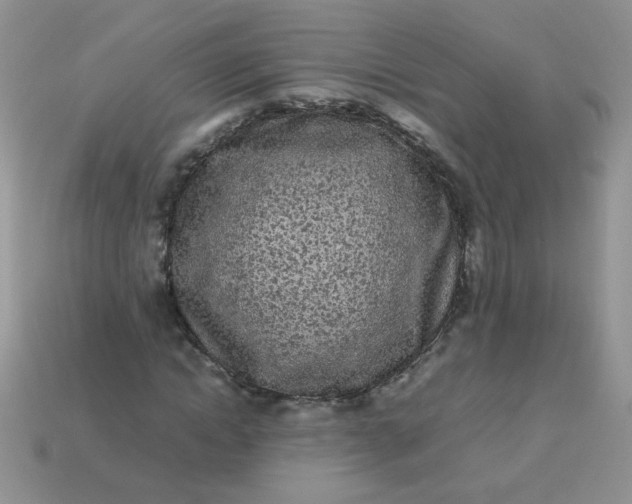 X0000113030822200909101856