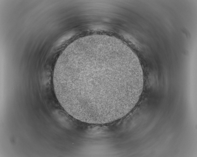 X0000113030824200909101856