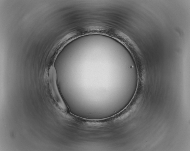 X0000113030825200909101856