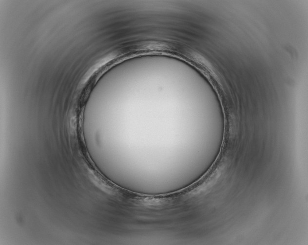 X0000113030827200909101856