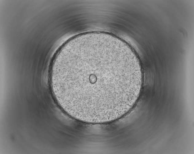 X0000113030828200909101856