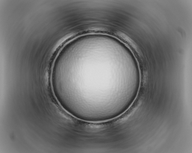 X0000113030829200909101856