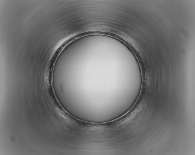 X0000113030830200909101856