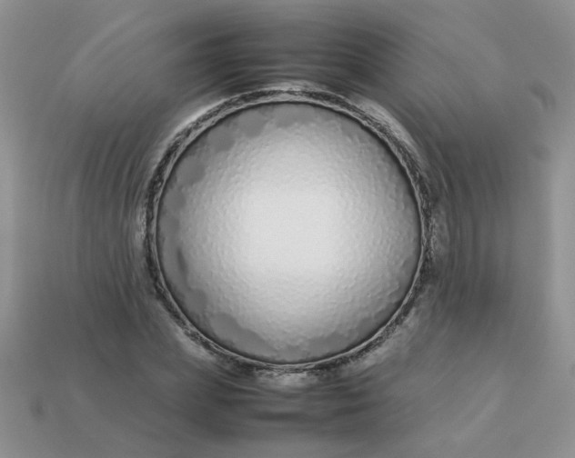 X0000113030831200909101856