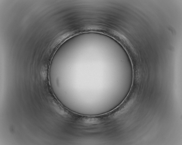 X0000113030833200909101856