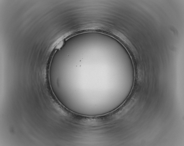 X0000113030834200909101856