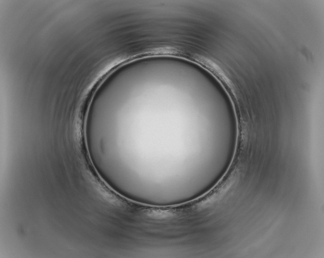 X0000113030835200909101856