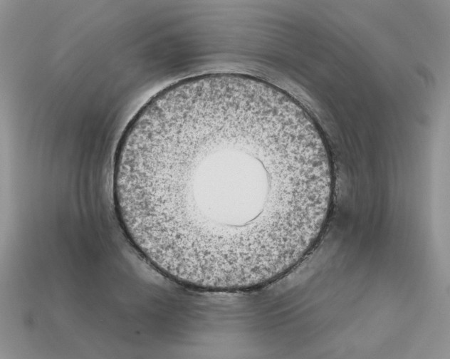 X0000113030836200909101856