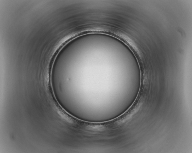 X0000113030837200909101856