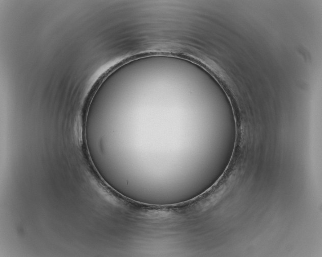 X0000113030838200909101856