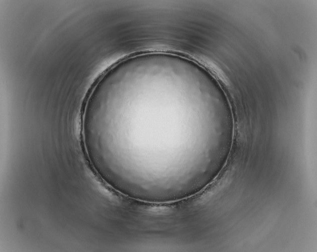 X0000113030839200909101856