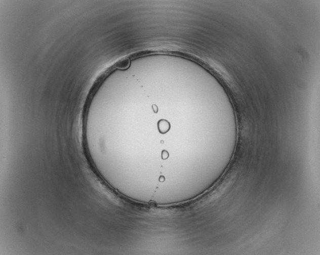 X0000113030840200909101856