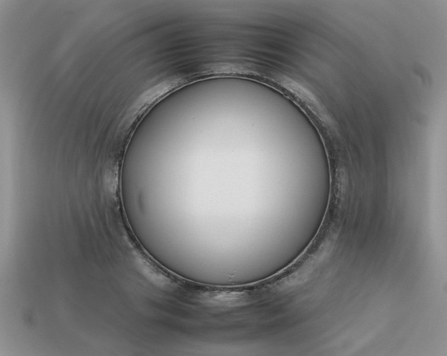 X0000113030841200909101856