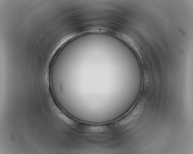 X0000113030843200909101856