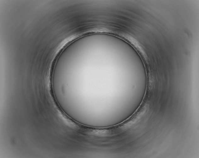 X0000113030845200909101856