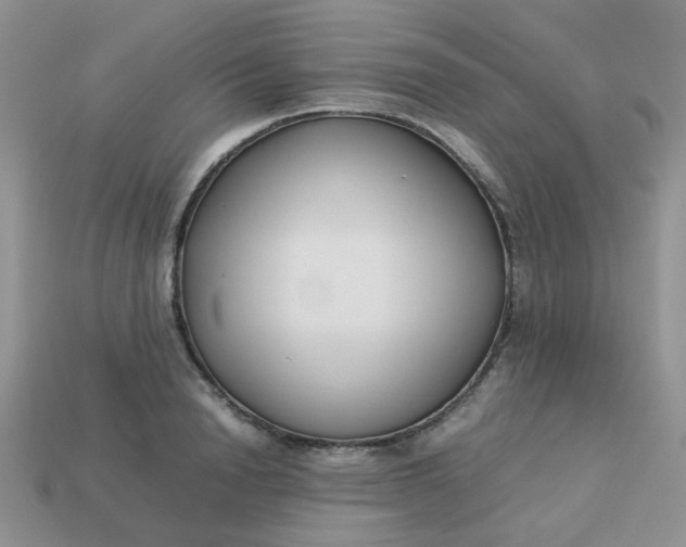 X0000113030846200909101856