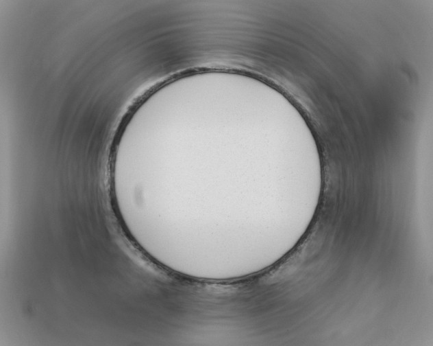 X0000113030848200909101856