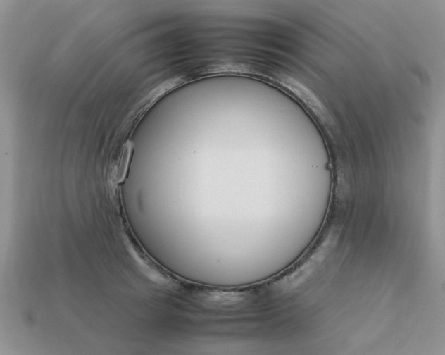 X0000113030849200909101856