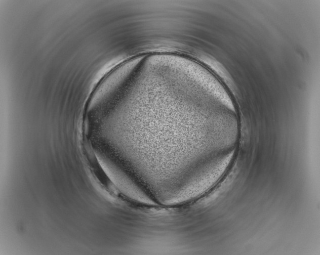 X0000113030850200909101856