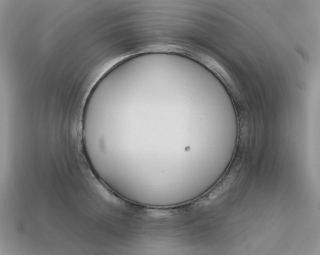 X0000113030852200909101856