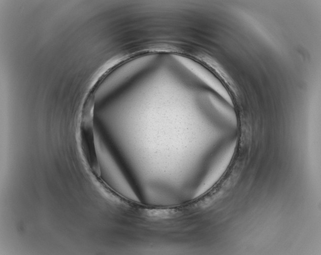 X0000113030853200909101856