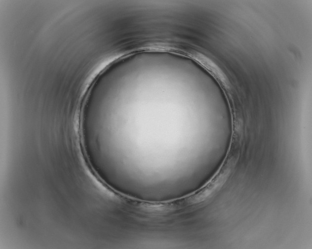 X0000113030855200909101856