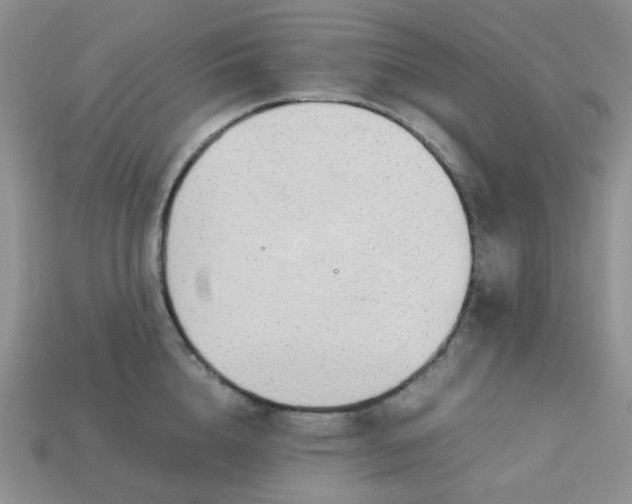 X0000113030856200909101856