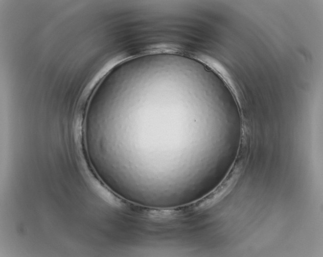 X0000113030859200909101856