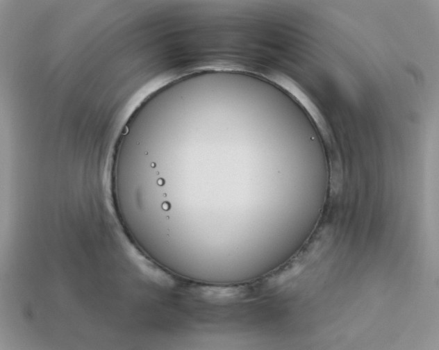 X0000113030861200909101856