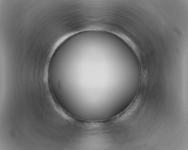 X0000113030862200909101856