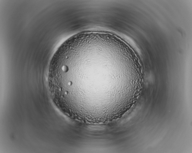 X0000113030863200909101856