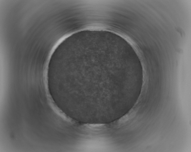 X0000113030864200909101856