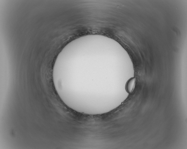 X0000113030865200909101856