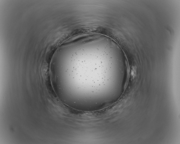 X0000113030867200909101856