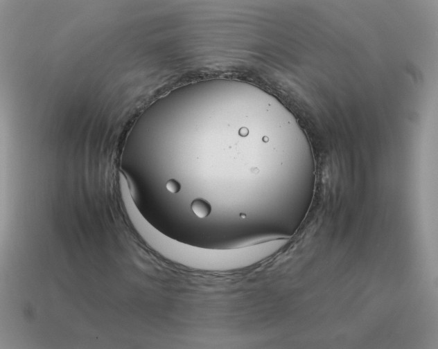 X0000113030868200909101856