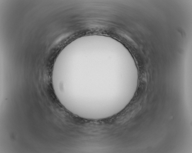 X0000113030869200909101856