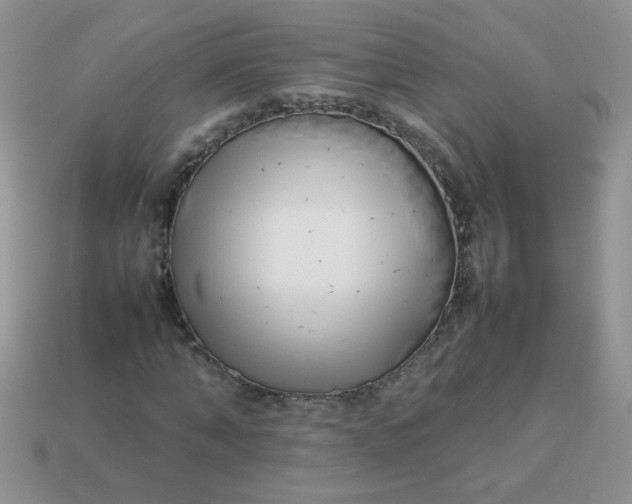 X0000113030870200909101856