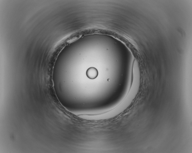 X0000113030872200909101856