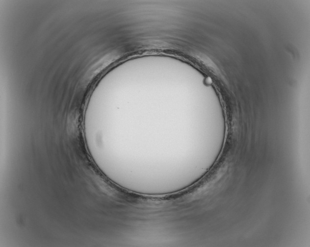 X0000113030873200909101856