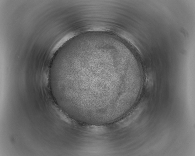 X0000113030874200909101856