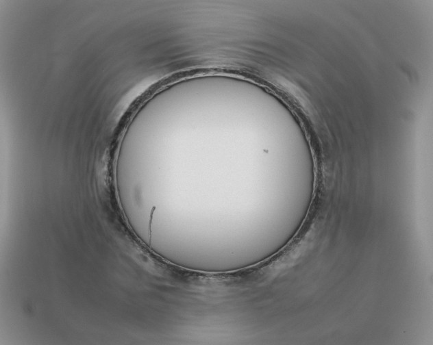 X0000113030875200909101856