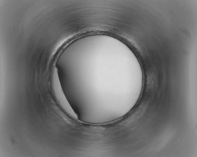 X0000113030878200909101856