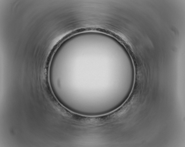 X0000113030879200909101856